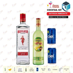 Ginebra Beefeater London Dry 750 ml - Cavas Towns Ginebra Beefeater London Dry 750 ml - Cavas Towns