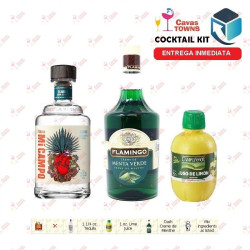 Cocktail Kit Mockingbird Receta Recipe - Cavas Towns