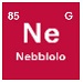 nebbiolo_1.jpg